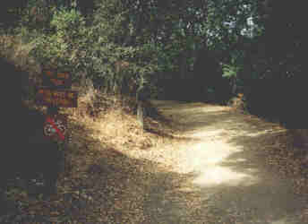 Mt. Eden Trail