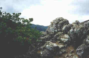 Limestone outcrop on the Canyon Trail - click for full-sized photo