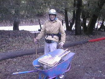 Photo of coffee cake in wheelbarrow. Click for full sized image