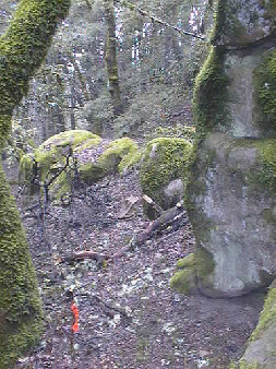 Rocks along Castle Rock Trail. Click for full sized image