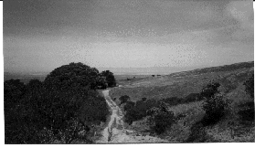 View of Coal Creek Preserve