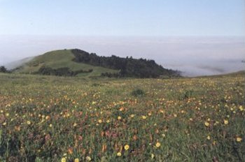 Mindego Ridge, Russian Ridge OSP.