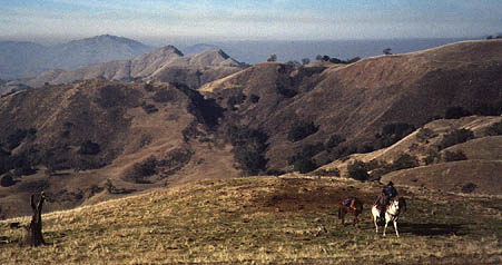 View from Cerro Este to Maguire Peaks and Mt. Diablo, Sunol