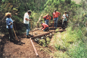 The big culvert on Acorn Trail -- click for a larger image [130Kb]