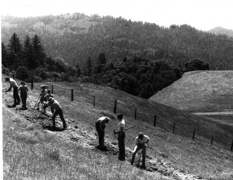 Bay Area Ridge Trail, Skyline Ridge Preserve, 1991