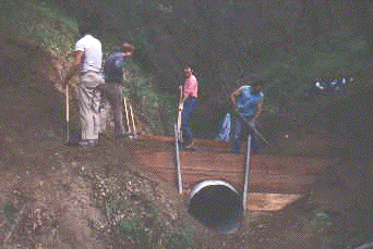 Culvert on the Stevens Creek Trail, Spring 1987