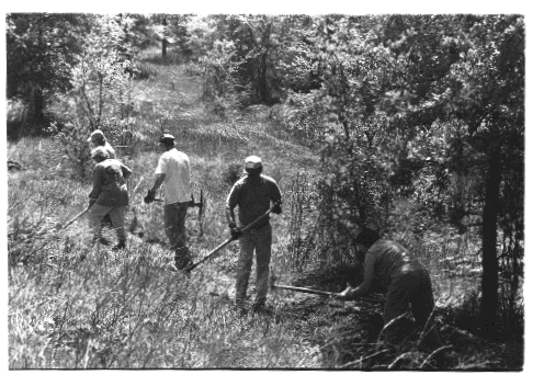 California Trail Days