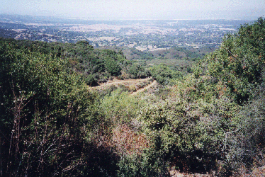 View north from halfway up Black Mountain--click for full size image