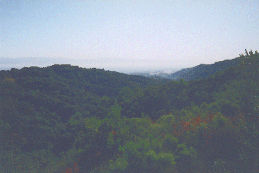 View south toward Rancho San Antonio--click for full size image