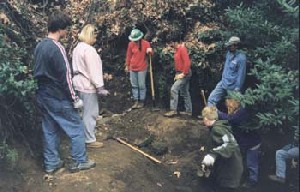 Thinking Crew deals figures out the Culvert Problem