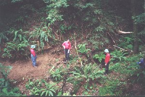 Crew Leaders at Gazos Creek (click for larger image)