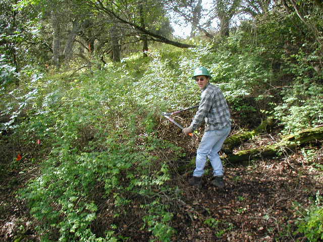 Dave C. in the poison oak