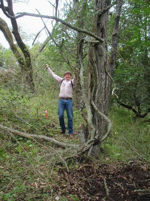 Eric battles the monster poison oak vines