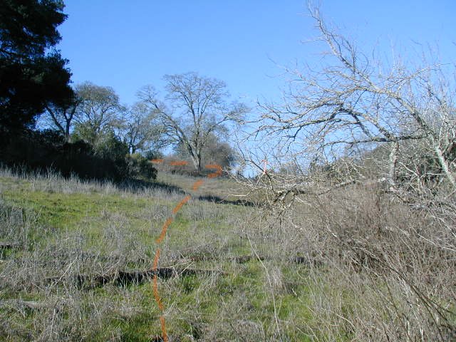 Upper switchback from edge of oak woodland